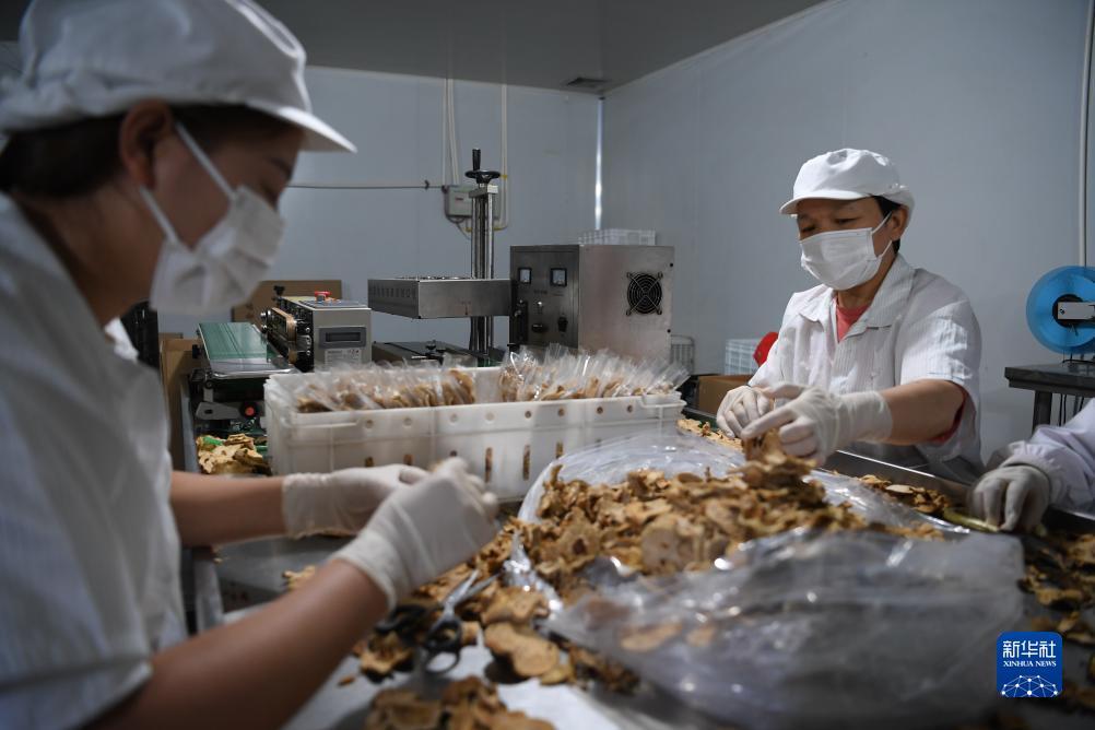 白菜通下载